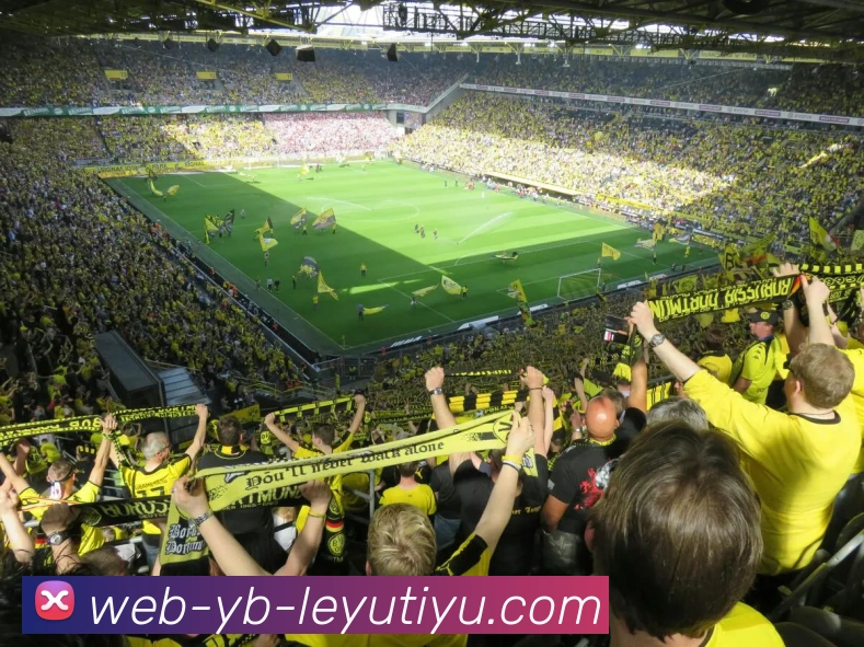 数据防护可视化